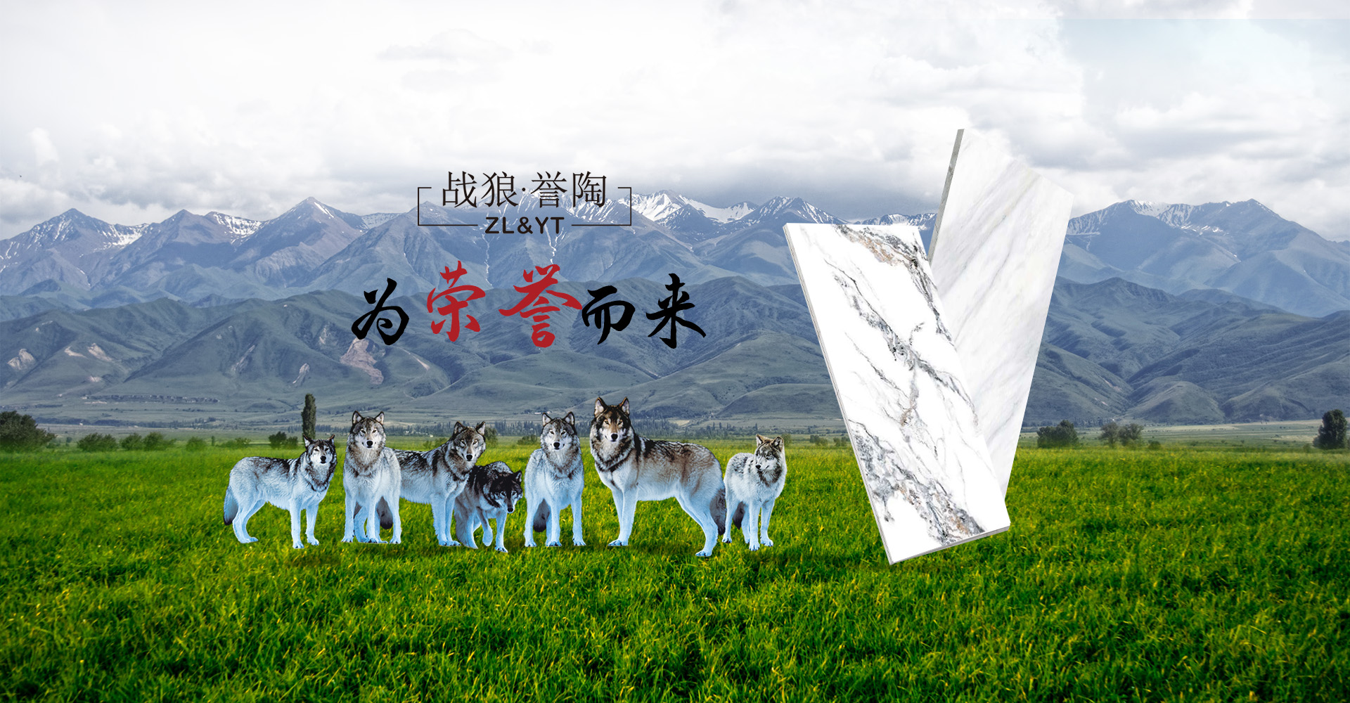 企业介绍